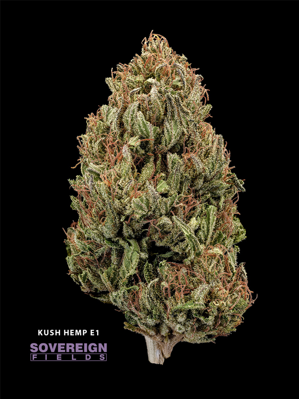 Kush Hemp E1